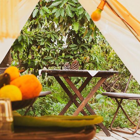 Güimar Yurt In Avocado Garden酒店 外观 照片