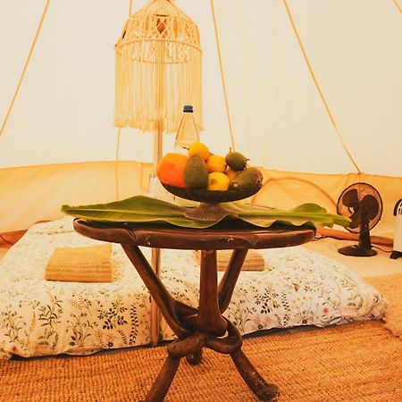 Güimar Yurt In Avocado Garden酒店 外观 照片