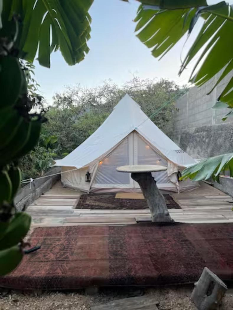 Güimar Yurt In Avocado Garden酒店 外观 照片