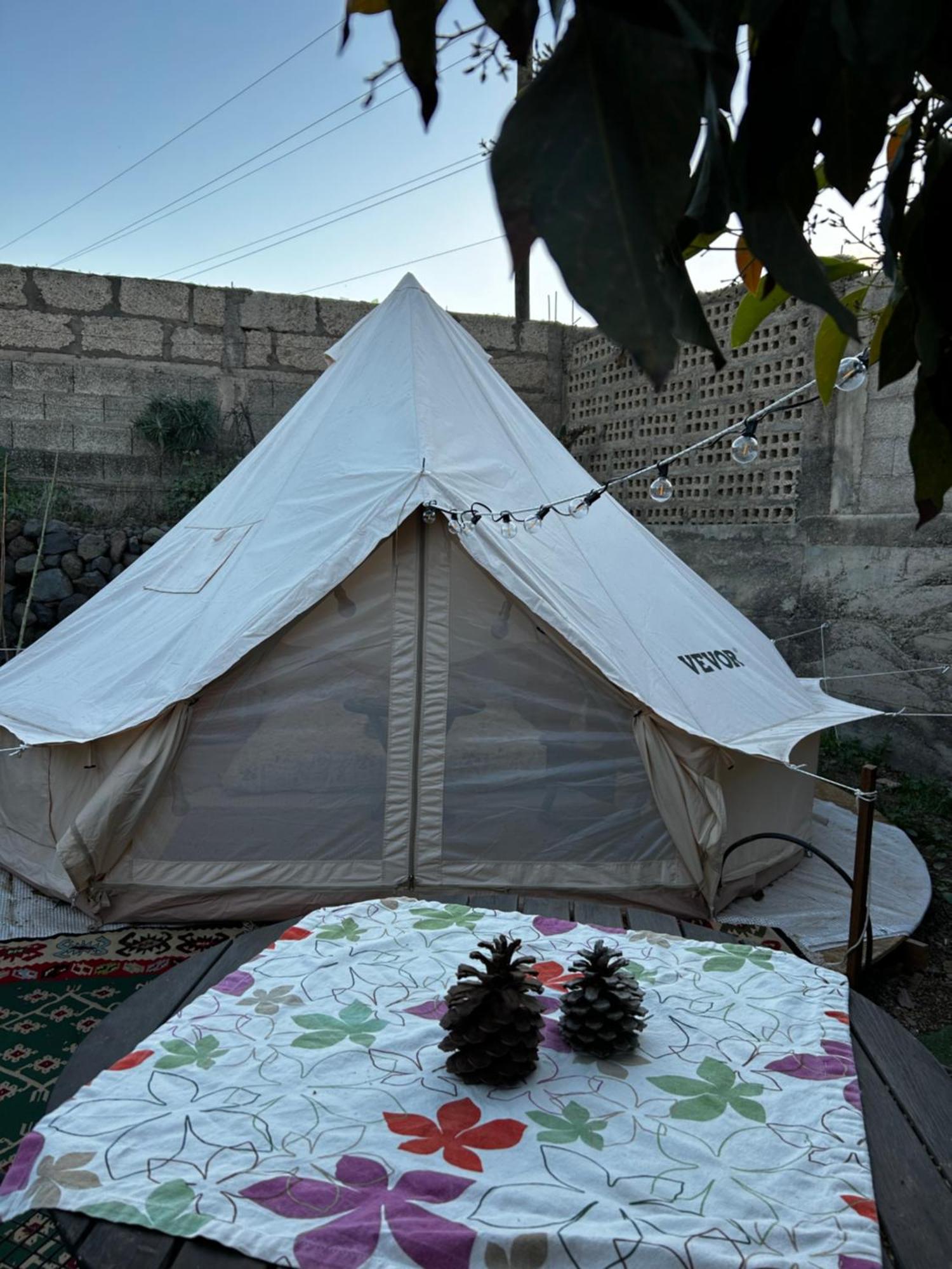 Güimar Yurt In Avocado Garden酒店 外观 照片