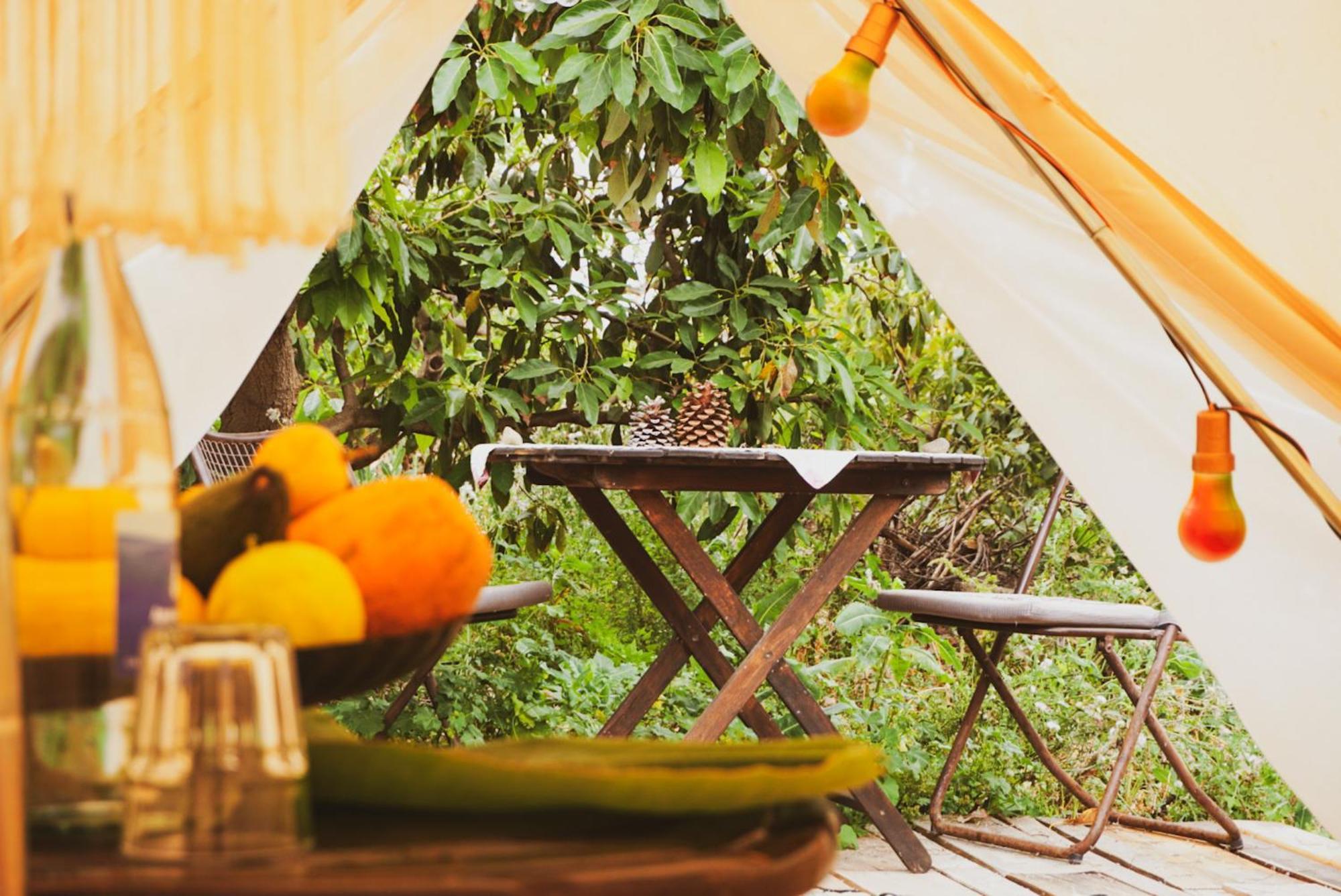 Güimar Yurt In Avocado Garden酒店 外观 照片