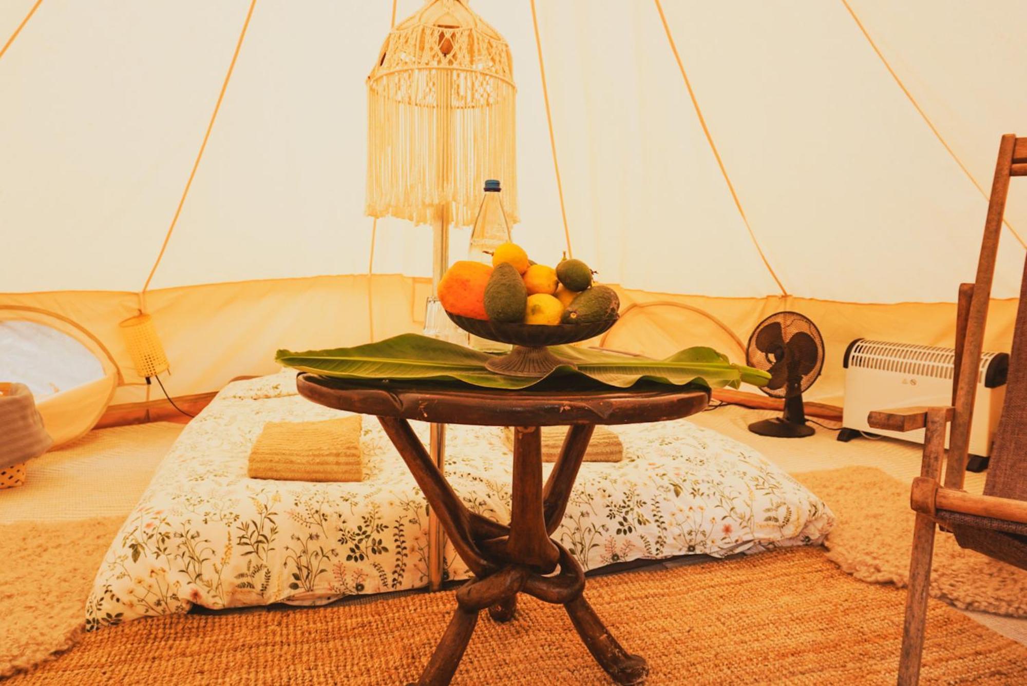Güimar Yurt In Avocado Garden酒店 外观 照片