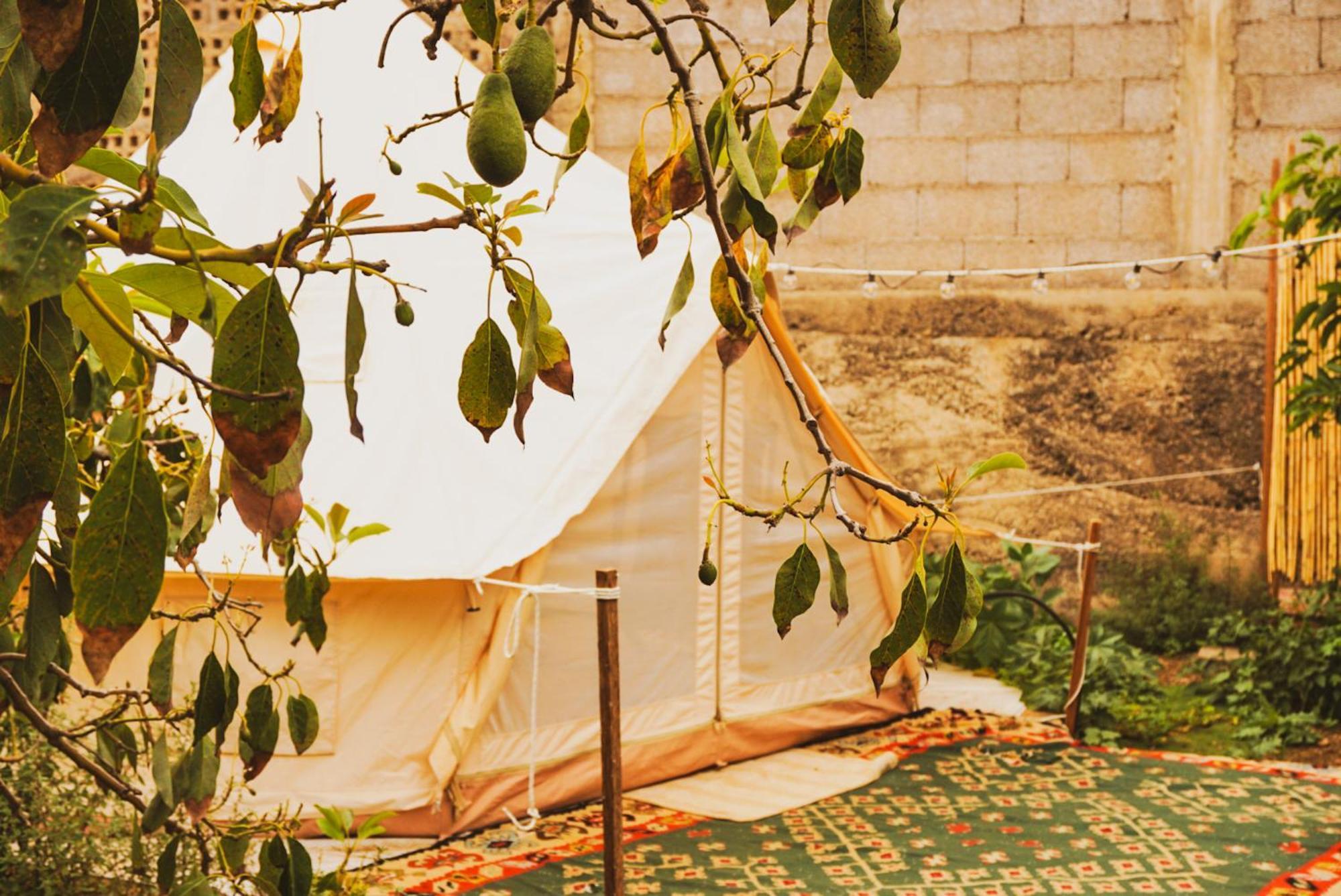 Güimar Yurt In Avocado Garden酒店 外观 照片